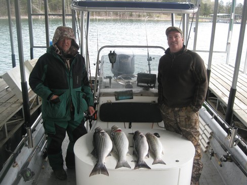 Nice Striped Bass
